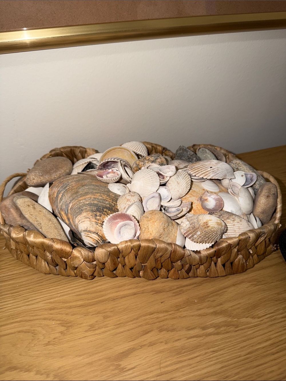 Seashell Decorative Bowl - Natural Brown and Cream